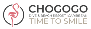 Chogogo Corporate Logo